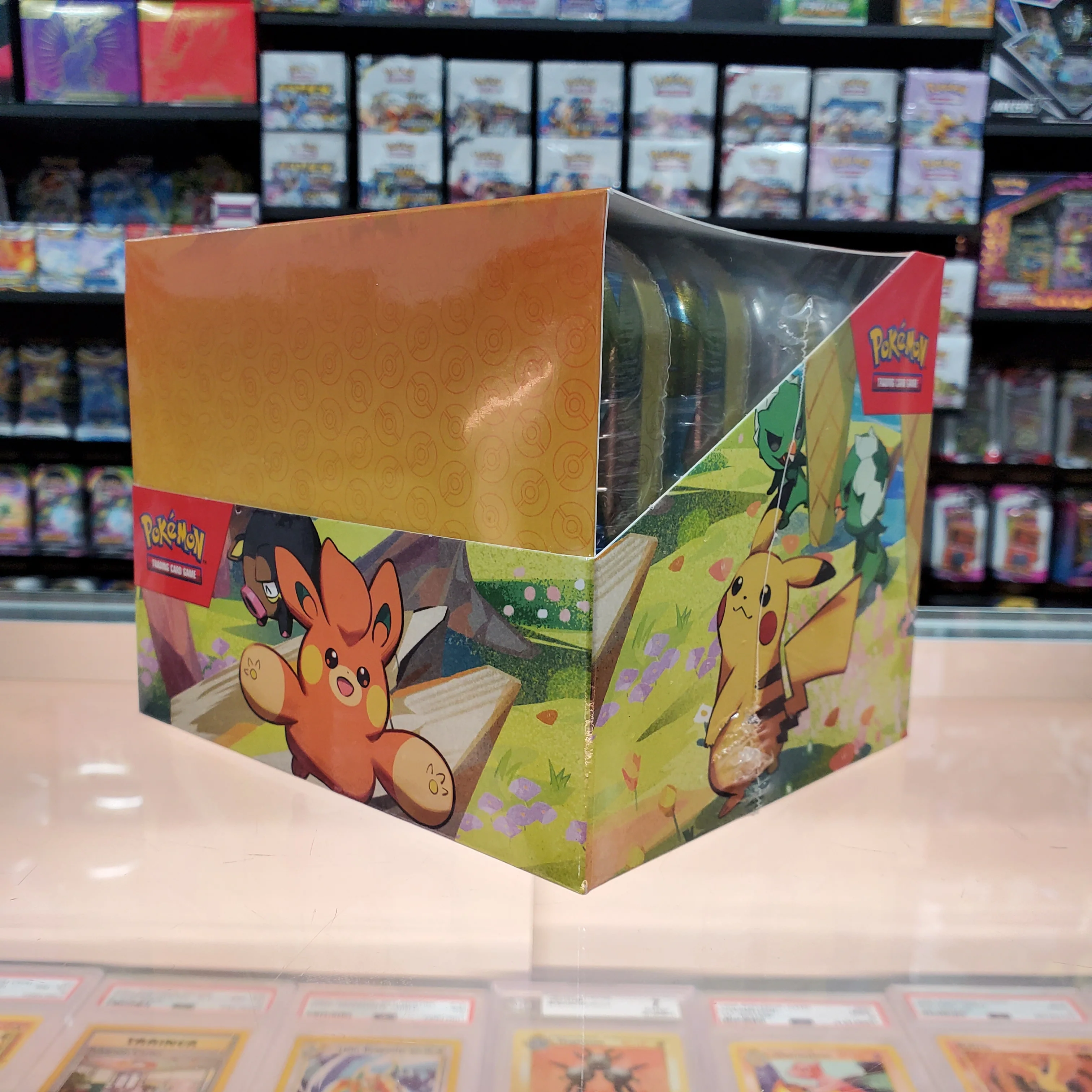 Pokémon TCG: Paldea Friends Mini Tin Display